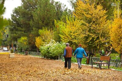  اجرای طرح «فرش خزان» در بوستان های منتخب قم