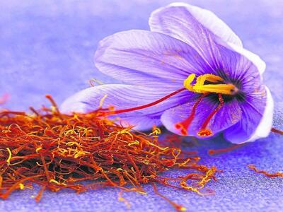 رکوردشکنی زعفران در بورس کالا