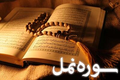  سوره نمل: از داستان سلیمان تا سخن گفتن مورچه