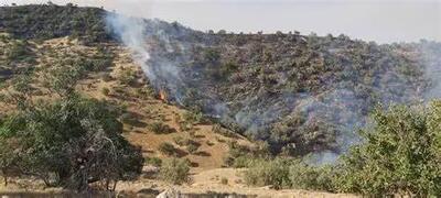 تغییرات اقلیمی در شمال کشور بی‌سابقه‌ است