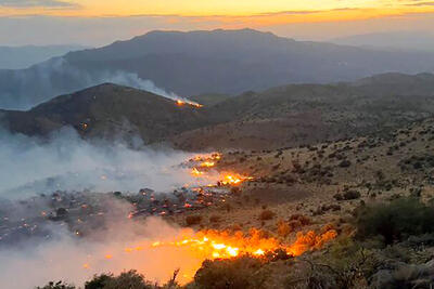  حریق عمدی در منطقه حفاظت شده در شیراز/ متهم شناسایی و به مراجع قضائی معرفی شد