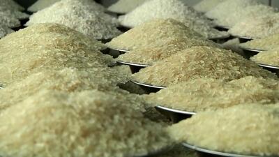 افزایش ۲۰۱۸ درصدی قیمت برنج ایرانی/سفره‌های کارگران آب رفت