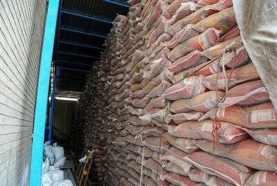 دولت در هدایت و نظارتِ هزینه‌کرد ارز ترجیحی اهتمام کند؛ لزوم مقابله با محتکران