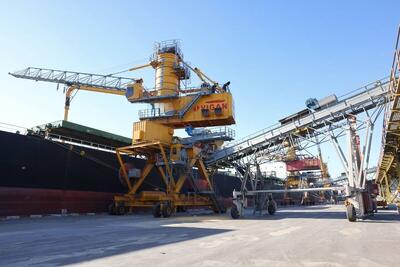 نهاده‌های بندر امام خمینی ترخیص شد+ فیلم