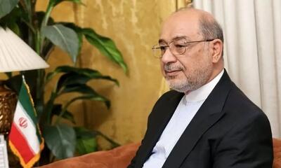 تنها مسیر حل اختلافات هسته‌ای، دیپلماسی برد-برد است