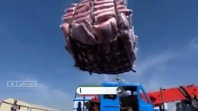 ببینید| اعلام قیمت برنج های وارداتی