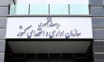 رفیع‌زاده: ۵۵ نهاد شورایی منحل شد / ۱۱۳ شورای دیگر در انتظار بررسی