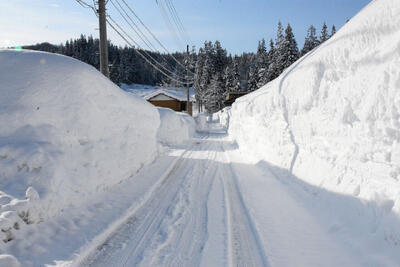 بارش‌های سنگین در راه است، برای برف و باران آماده باشید +ویدیو