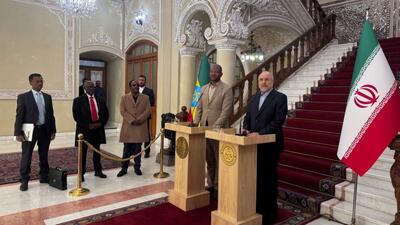 فرصت همکاری با اتیوپی در زمینه کشاورزی و انرژی فراهم است