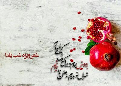  اشعار شب یلدا + مجموعه شعر دلنشین و زیبا در مورد شب چله و شب یلدا