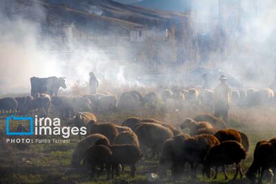  طبیعت پاییزی شهرستان الشتر