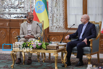 قالیباف: فعال شدن سفارتخانه‌های ایران و اتیوپی برای توسعه روابط ضروری است