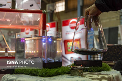  قانون جهش باید به سوی نوآوری دانشگاهی حرکت کند