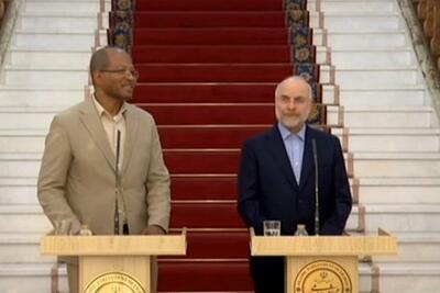 رئیس مجلس اتیوپی: امیدوارم روابط ایران و اتیوپی توسعه پیدا کند