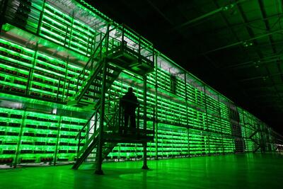 مسیر ماینرها با کاهش سود سبز شد