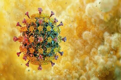  ثبت پنجمین فوتی قطعی ناشی از آنفلوآنزا در هرمزگان