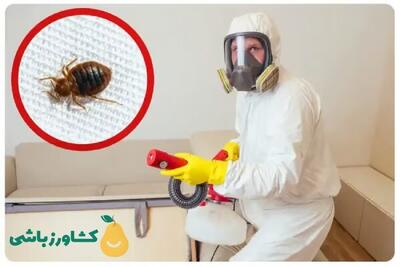  شرکت سمپاشی ساس کشاورزباشی رتبه بالا در سمپاشی ساس (بدون تخلیه منزل-بدون بو)