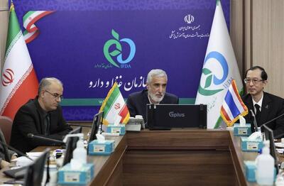 توافق ایران و تایلند درباره ارتباط‌های نظارتی در حوزه غذا / بررسی استاندارد برنج وارداتی