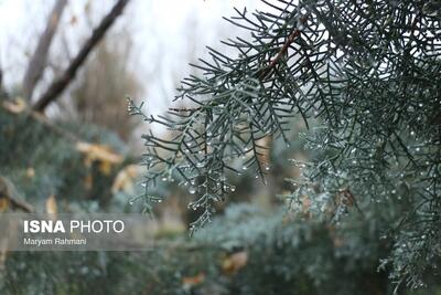 بارش‌های اخیر کم‌آبی کشور را جبران نمی‌کند