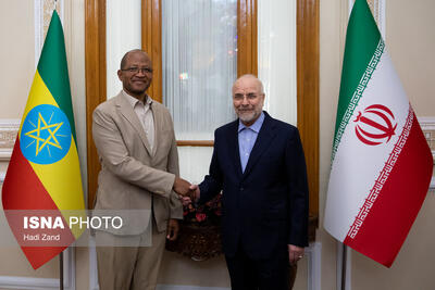 دیدار رئیس مجلس نمایندگان اتیوپی با محمد باقر قالیباف