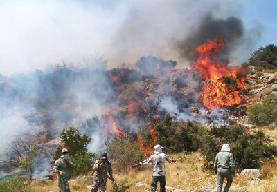 داغ آتش بر دل ۲۰ درصد از میراث ۴۰ میلیون ساله هیرکانی