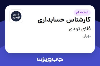  استخدام کارشناس حسابداری در فلای تودی