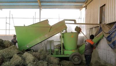 خالی فروشی وزارت نفت و بانک مرکزی/ اثر اختلالات ارزی بیشتر از تحریم‌هاست