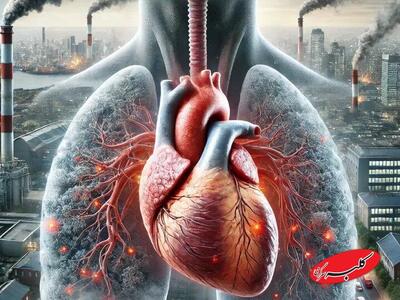  آلودگی هوا قلب را نشانه گرفت؛ هشدار جدی متخصص قلب - کلبه سرگرمی