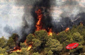  آتش سوزی جنگل الیت چگونه مهار شد؟/ خاموش کردن آتش با آتش - کلبه سرگرمی