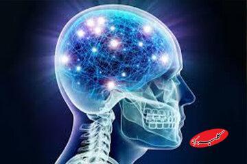  مصرف این غذاها به مغز آسیب می‌رساند - کلبه سرگرمی
