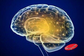  آزمایش «کلاهخود خدا» رد ادعای الهیاتی پرسینگر - کلبه سرگرمی
