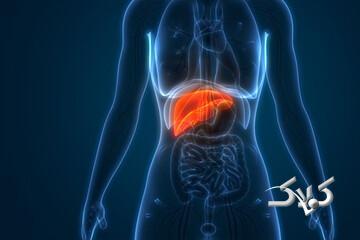 تضمین سلامت کبد با مصرف این ویتامین‌ها - مجله اینترنتی کولاک