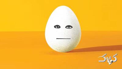 قیمت جدید تخم مرغ اعلام شد+ جزییات - مجله اینترنتی کولاک