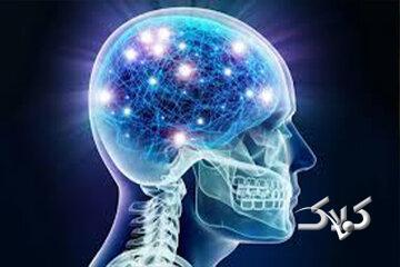 مصرف این غذاها به مغز آسیب می‌رساند - مجله اینترنتی کولاک