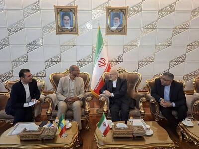 رئیس مجلس اتیوپی وارد تهران شد