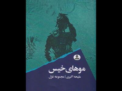  آسیب شعر امروز، از روی هم نویسی است/ نماینده زنان معمولی جامعه‌ام