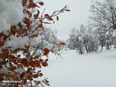  پیش بینی بارش برف در خوزستان