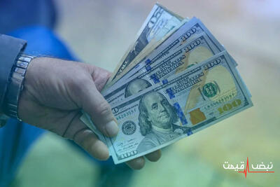 دلار دوباره دندان نشان داد؛ سیگنال خطرناک بازار ارز به مردم و اقتصاد