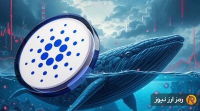 تحلیل سیگنال‌های متناقض کاردانو؛ نهنگ‌ها می‌خرند، سرمایه‌گذاران خرد می‌فروشند!
