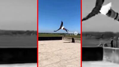  فیلم پرواز پسر بچه با عقاب ساخته‌شده با هوش مصنوعی