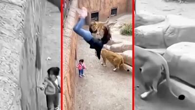  فیلم اقدام شجاعانه زن برای نجات بچه در باغ وحش