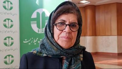 زباله‌سوز برای ایران پرهزینه است؛ روش پیشنهادی من 20 برابر ارزان‌تر خواهدبود / طرحی داشتم که دفن زباله تهران را به زیر 5 درصد ببرند ولی شهرداری آن را عملیاتی نکرد  + فیلم