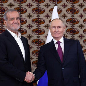 حمایت هسته‌ای