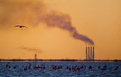 تعطیلی اضطراری مدارس و دانشگاه های خوزستان: آلودگی هوا آموزش را مجازی کرد - سلام نو