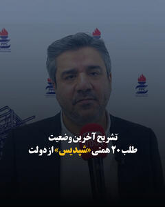 تشریح آخرین وضعیت طلب ۲۰ همتی «شپدیس» از دولت