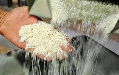 احتمال جهش قیمت برنج در صورت بروز این اتفاق!