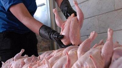 قیمت مرغ و گوشت امروز چند شد؟/ گرانی در بازار ترمز برید