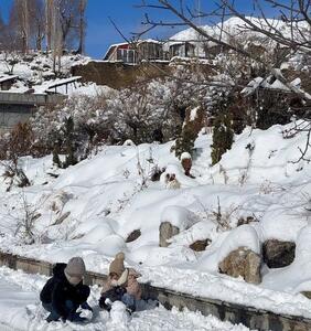 تصاویری از شمشک پس از بارش برف