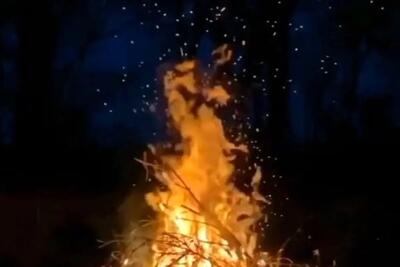 آواز اصیل؛ این آهنگ شهرام ناظری همه خاطرات زیبای دهه شصتیارو زنده میکنه