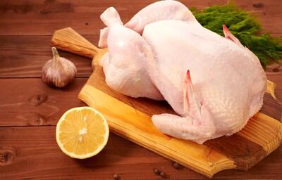 بحران نهاده‌های دامی؛ هشدار درباره جهش قیمت مرغ